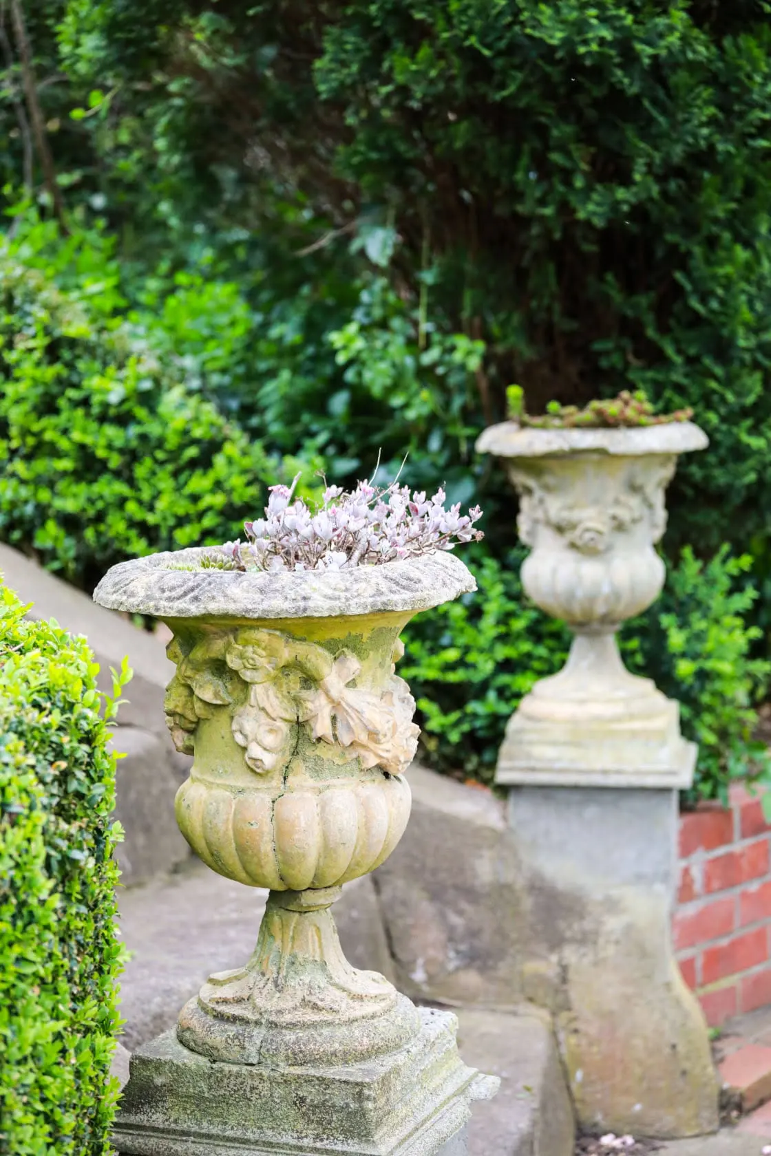 Garden detail with stone urn planter